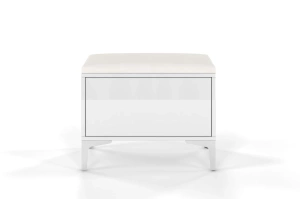 Biało-srebrne siedzisko z pojemnikiem Dancan EVELINE wysoki połysk / szer. 60 cm